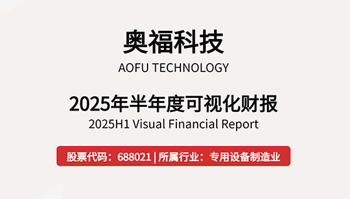 2025年半年度可視化財(cái)報(bào)