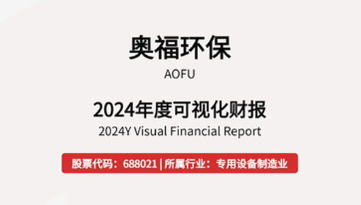 2024年年度可視化財(cái)報(bào)
